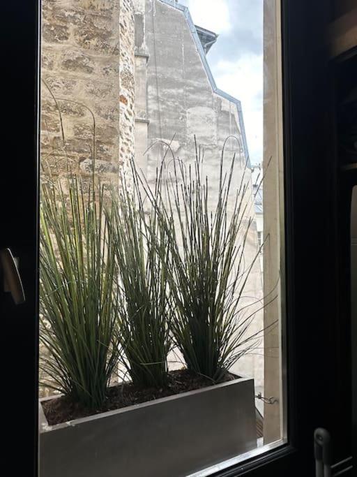 Boutique Saint Germain